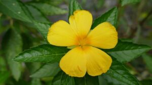 G950a7cd1a89c76c48c97fd637318e2c13f1329cfa4a9382900fbedbadc65215b2ff2c01996ccdab5e1d13f2ec9275aab419590b191dbbc206b5911e5dda9ea48 640